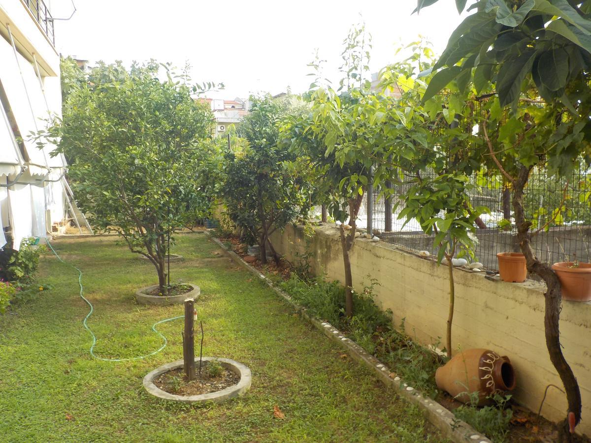 Hotel Kallithea Loutra Edipsou  Ngoại thất bức ảnh